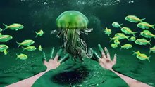 ASMR green jelly fish ocean. First person pov
