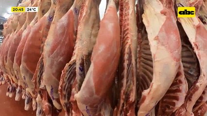 Exportaciones de carne en este semestre