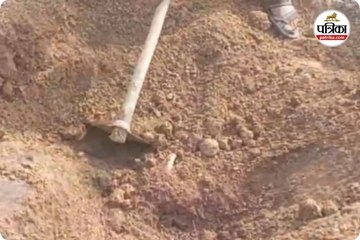 मवेशियों की भूख प्यास से मौत