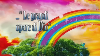 Medaglioni 082 Dal Papa per guarire un tumore