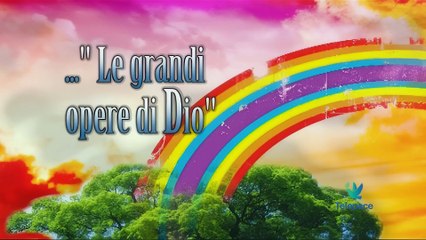 Medaglioni 079 Quello che il Papa vuole