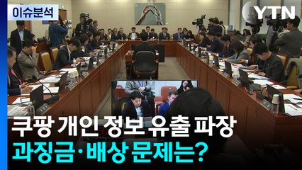 [이슈플러스] '초유의 개인정보 유출' 쿠팡 과징금·손배소 전망은? / YTN