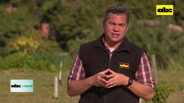 Logran que raíces de soja puedan nodular en suelo Chaqueño