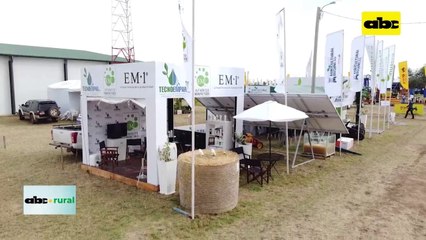 Microorganismos Eficaces En Ganado De Leche Y Carnee