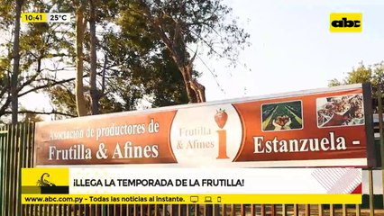 Cómo trabaja la Asociación de productores de frutilla