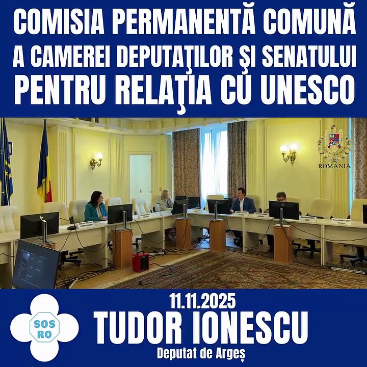 Intervenția în Comisia Permanentă comună a Camerei Deputaților și Senatului pentru relația cu Unesco