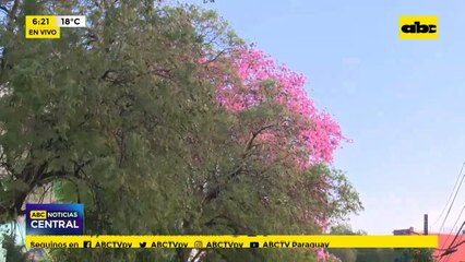 Deplorables Obras en la escalinata de Sajonia.