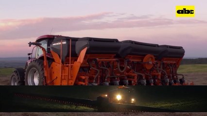 Comportamiento del sorgo gigante en el Chaco