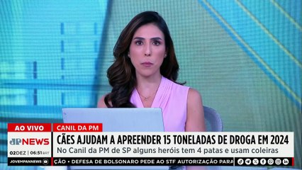 Cães da PM de SP ajudam a apreender 15 toneladas de droga