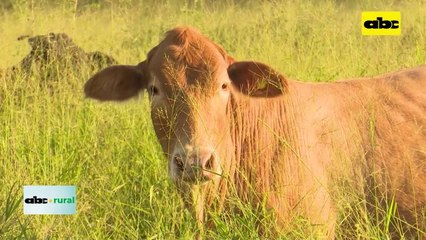Preparan charla teórico-práctica sobre ganadería regenerativa