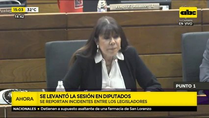 Se levantó la sesión tras la crítica de Celeste Amarilla.