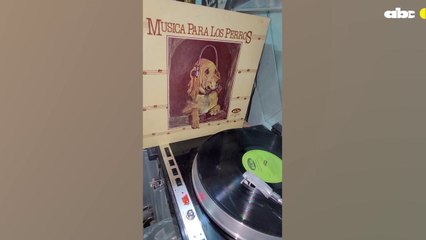 El Vinilo: "Rey de los formatos analógicos"