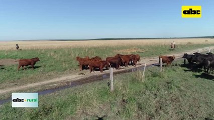 Pulverización aérea cuidando todos los detalles