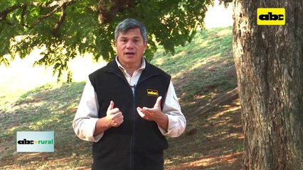 ¿Cómo encarar nutricionalmente la época de sequía en el Chaco?