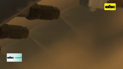 Resultados de uso de levadura en agricultura y ganadería