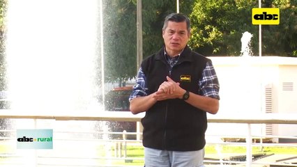 Resultados ambientales y económicos de la agrohomeopatía