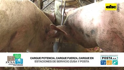 Industria de insumos para empresas de nutrición animal