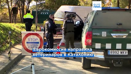 Новости дня | 2 декабря 2025 г. — дневной выпуск