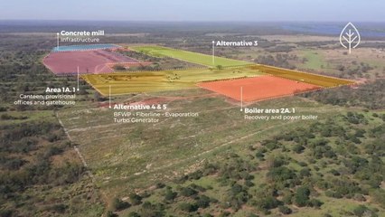 Avanza construcción de la fábrica de celulosa, en Concepción