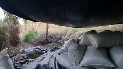 Ofensiva antinarco sacó de circulación un gran cargamento de marihuana en Amambay