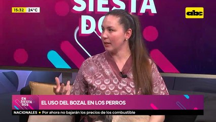 El uso del bozal en los perros