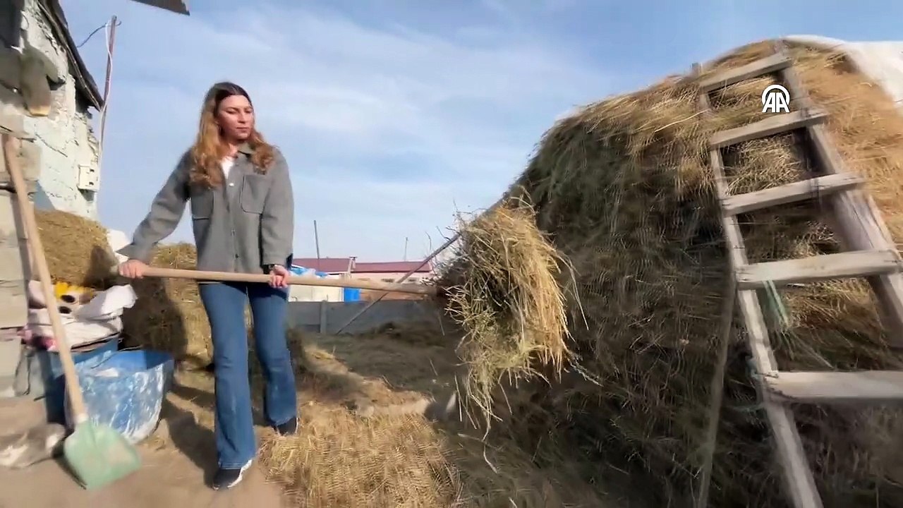 Modelist genç kadının köye dönüş başarısı! Sürüsünü 3 yılda 4'e katladı