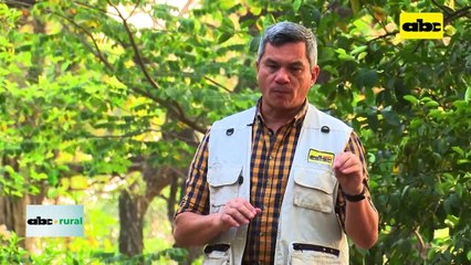 Resultados de uso de microorganismos en agricultura en el Chaco