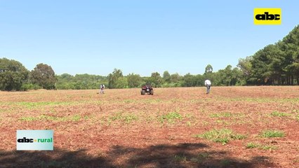 Instituciones deben trazar un camino para los productores