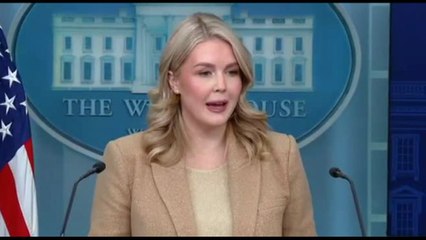 Casa Bianca: "Molto ottimisti" su un accordo per l'Ucraina