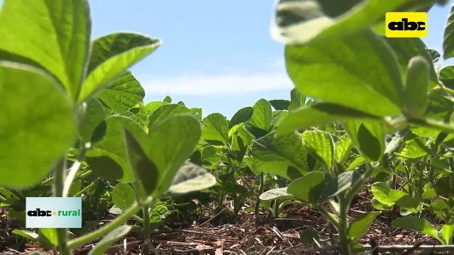 Porque apostar al uso de comunidades de microorganismos en agricultura