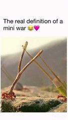 The Real Definition of a Mini War: Ant Battle Epic!
