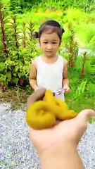 Cutest |Video Ever Funny Moments _comedy