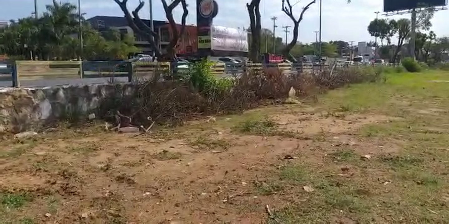 Video Luque 2