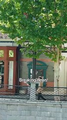 Absolute Power - The Day He Returned #Dramabox