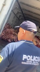 Incautan 5 Mil Kilos De Carne Vacuna