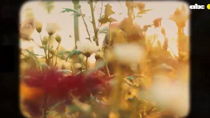 Expo flora en abasto norte