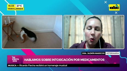 Hablamos sobre  intoxicación por medicamentos