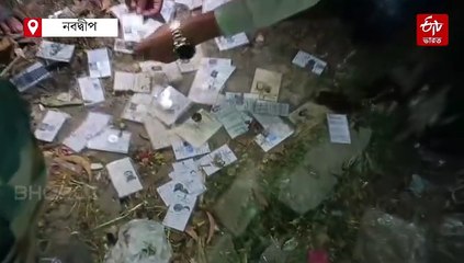 পরিত্যক্ত নর্দমার পাশে শতাধিক 'নকল' ভোটার কার্ড, SIR প্রভাব !
