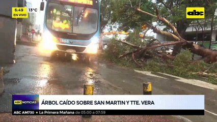Árbol caído sobre San Martín y Tte. Vera