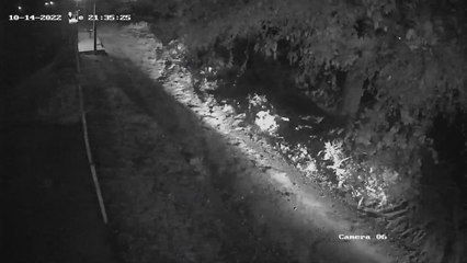 Seis detenidos tras homicidio y robo de motocicleta en J. A. Saldívar