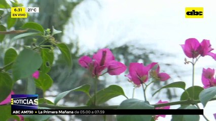 Vertedero clandestino