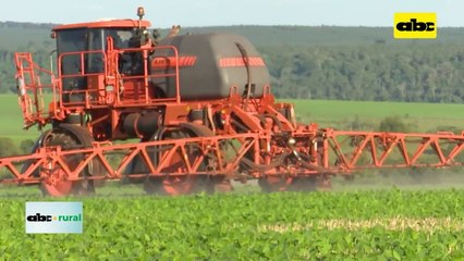 ¿Cómo controlar enfermedades de fin de ciclo en soja?