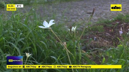 ¿Recordamos el día de los fieles difuntos?
