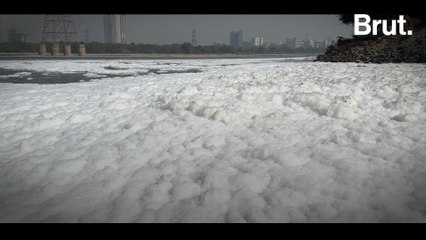 Yamuna Clean-Up EXPOSED :flushed:| The Reality They Don’t Show You| Brut IRL