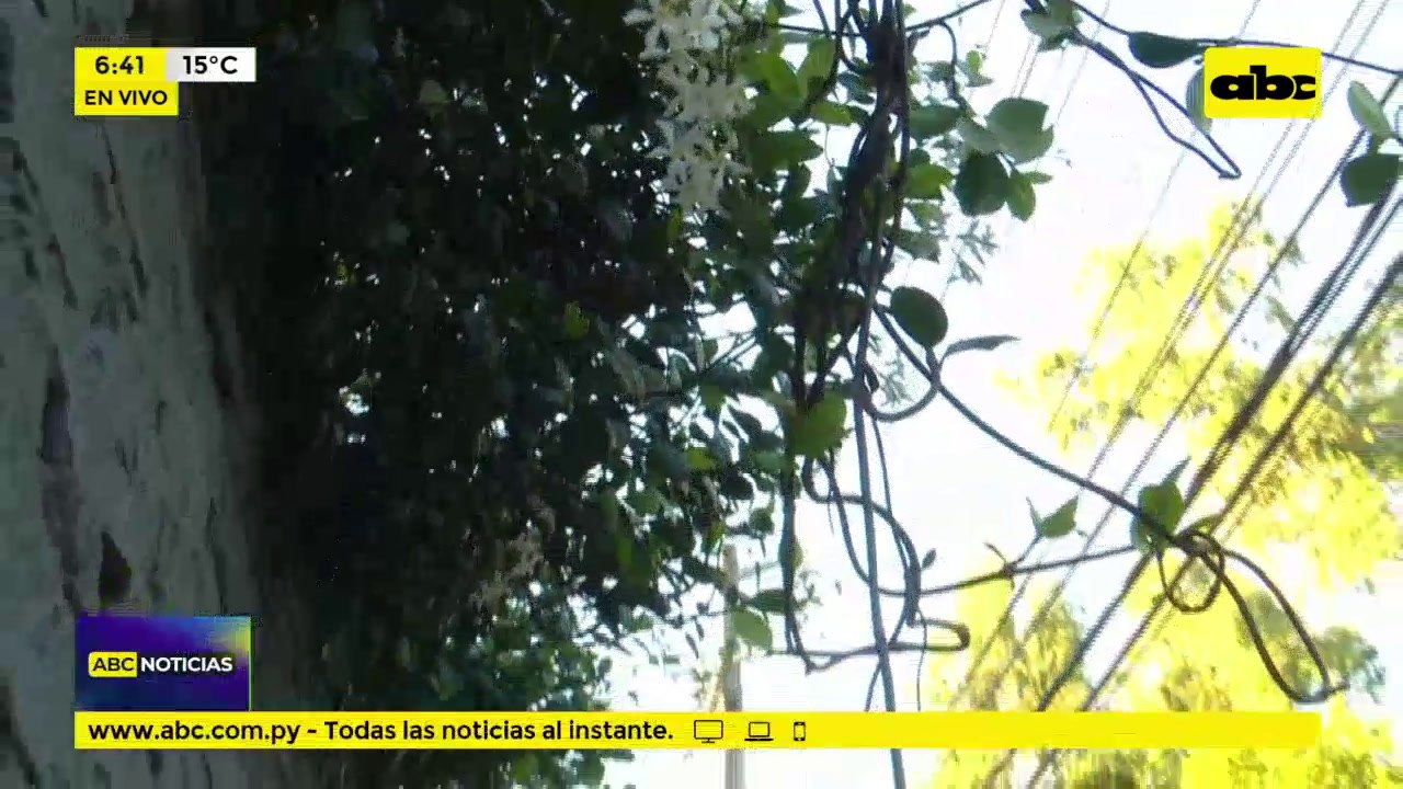 Total estado de abandono