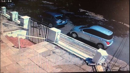 Tortolero Trabaja En Conjunto Con Cuidacoche