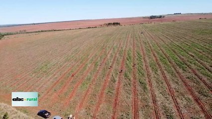 Mujer tractorista rompe paradigmas