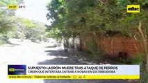 Supuesto ladrón muere tras ataque de perros
