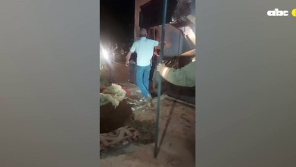 Rescatan a una yegua preñada que cayó a un “pozo ciego”