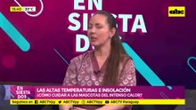 ¿Cómo cuidar a las mascotas del intenso calor?
